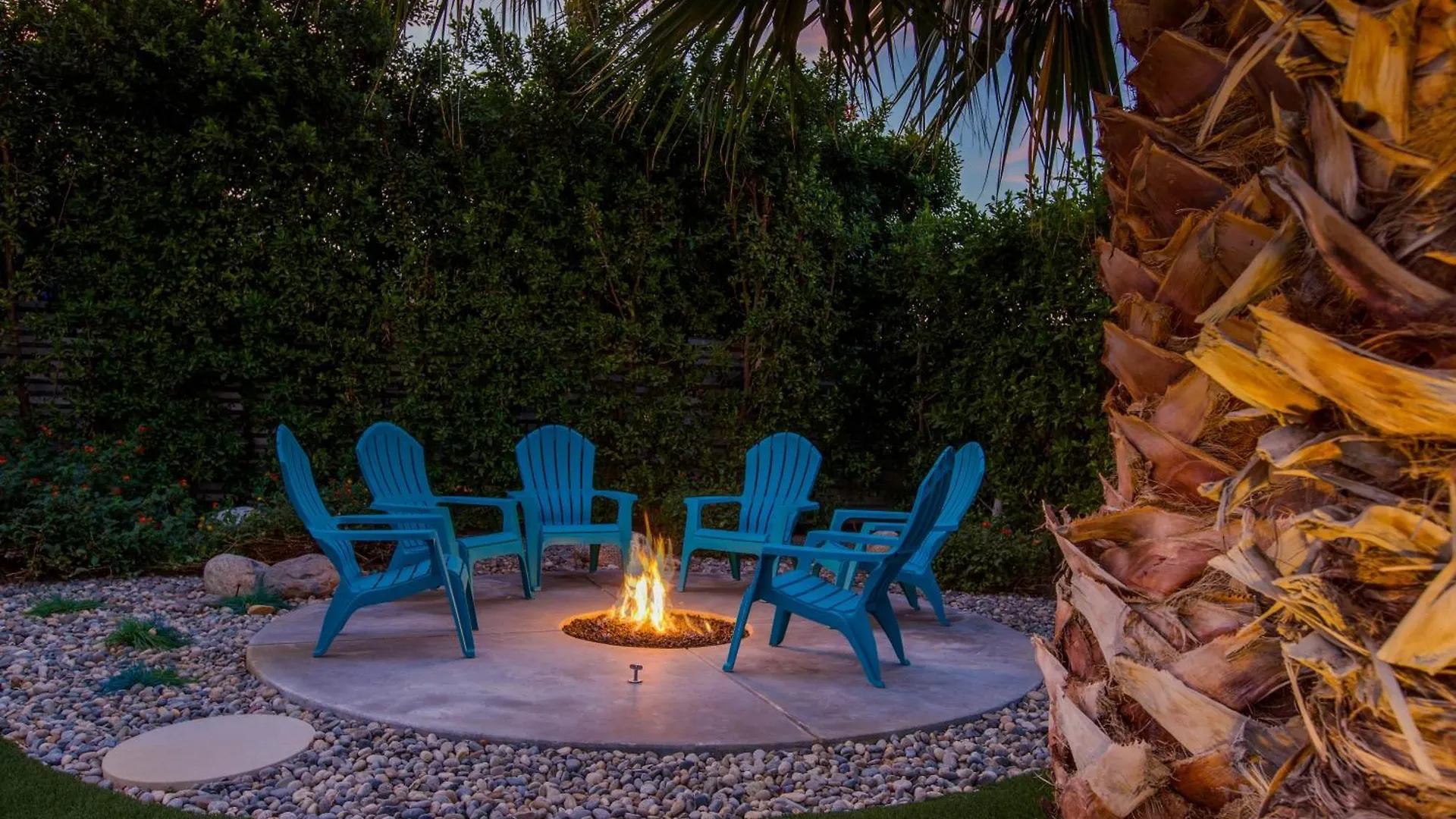 Villa Under The Palms By Acme House Company Palm Springs Stati Uniti